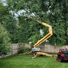 Best Hazardous Tree Removal  in Benton, TN